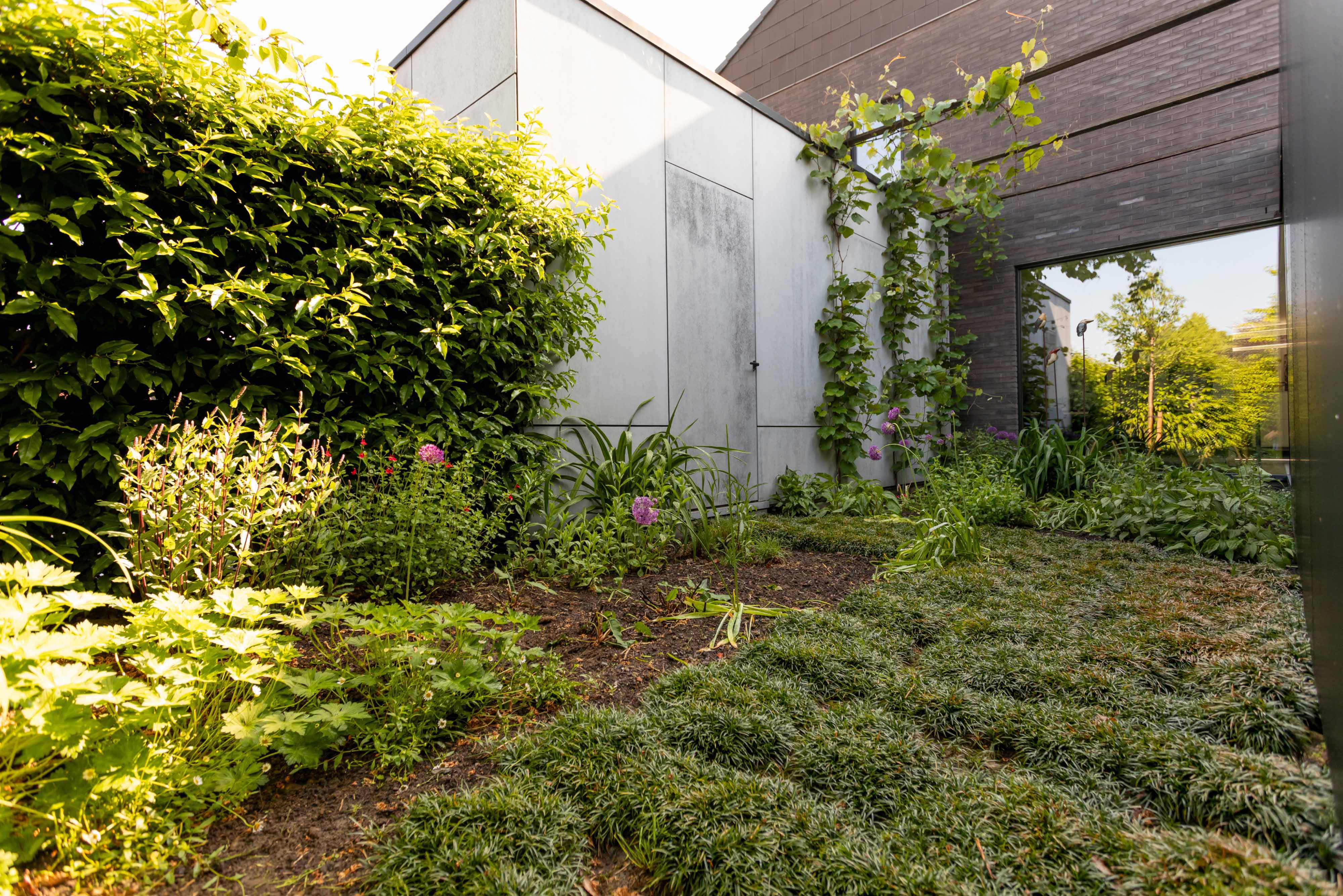 uitbreiding van bestaande woning in Deerlijk